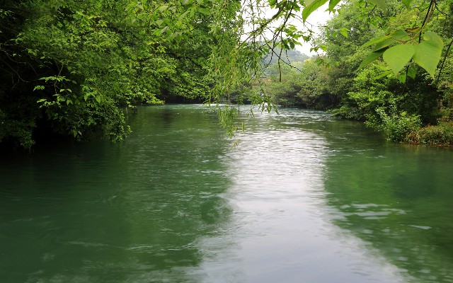 白条 可以 取现_抖音月付可用的商家桶