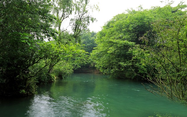 南京医保卡提现_羊小咩还款后未提额