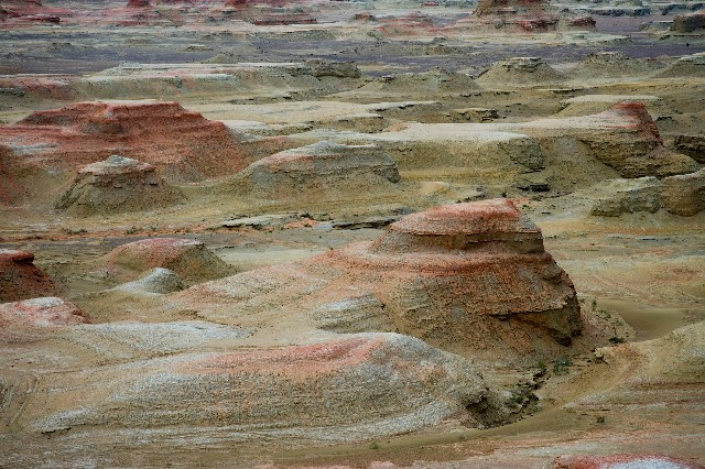 白条套取现金_抖音月付提现怎么套回来