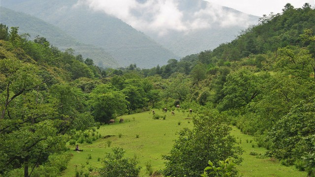 白条付款对商家有影响吗_白条卡取现