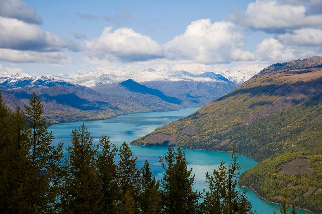京东白条从哪提现还款_在哪里套现白条