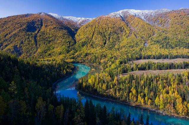 类似羊小咩好出额度的_花呗收款还需要商家码吗