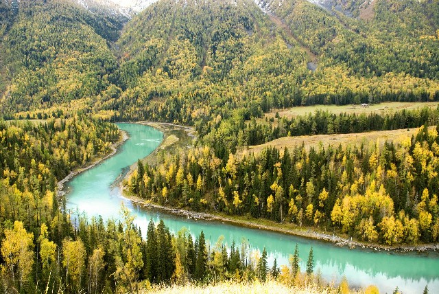 淄博花呗提现_花呗套手机