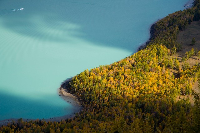 羊小咩套现流程_花呗去店里套现