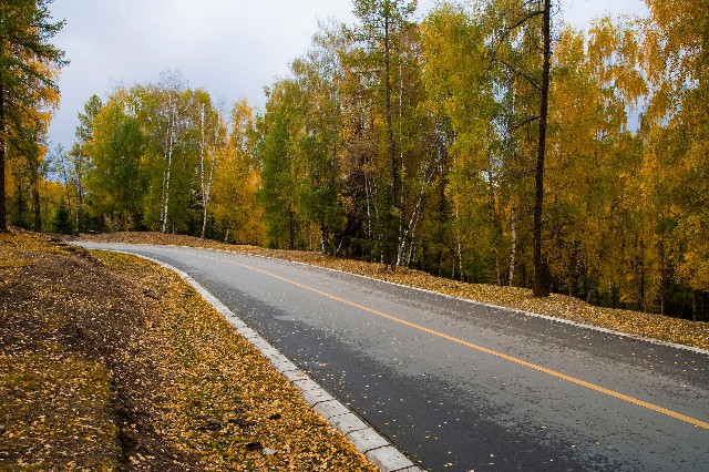 花呗可以提现吗转账呢_银行卡弄丢了怎么还花呗