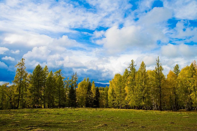 2020怎么套花呗_商家花呗收款奖励