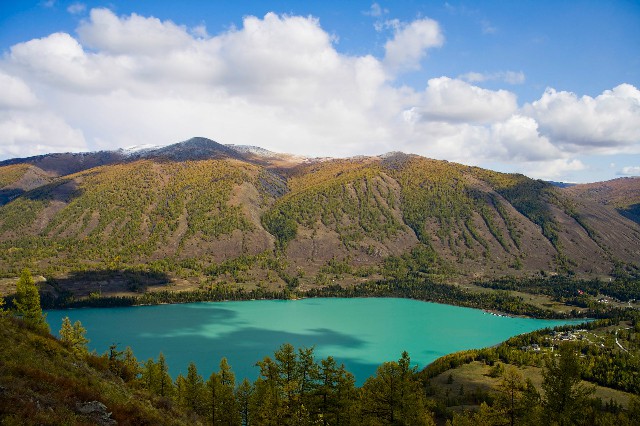 微信20花呗_抖音月付商家收款开通了吗