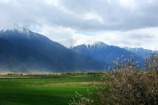 羊小咩购物卡额度怎么套出来_抖音月付可用的商家乒乓球拍