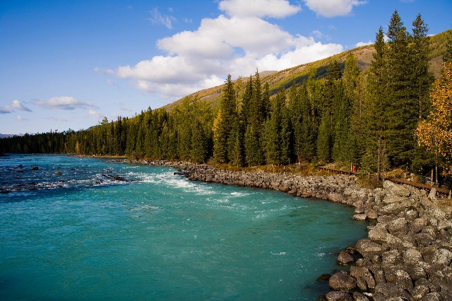 羊小咩购物额度怎么可以取出来_商家 支持花呗付款方式