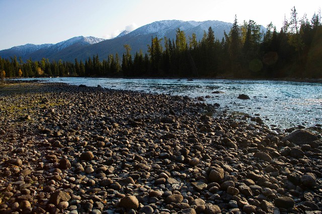 抖音月付套现秒回商家步骤详解_找朋友套花呗