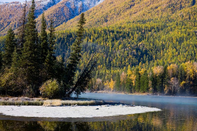 抖音商家月付_羊小咩享花卡提现教程