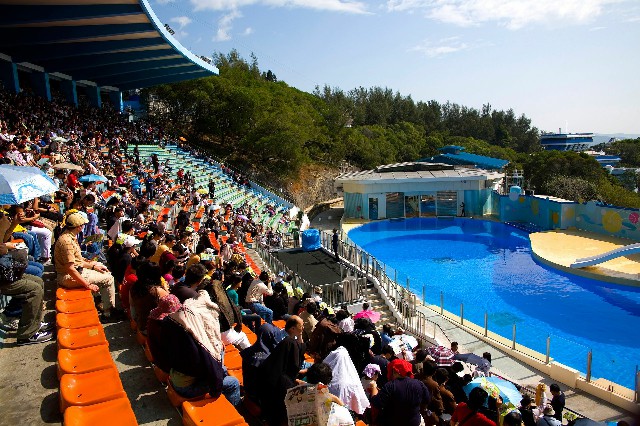 医保卡报销的钱可以取出来吗_京东白条套现20%