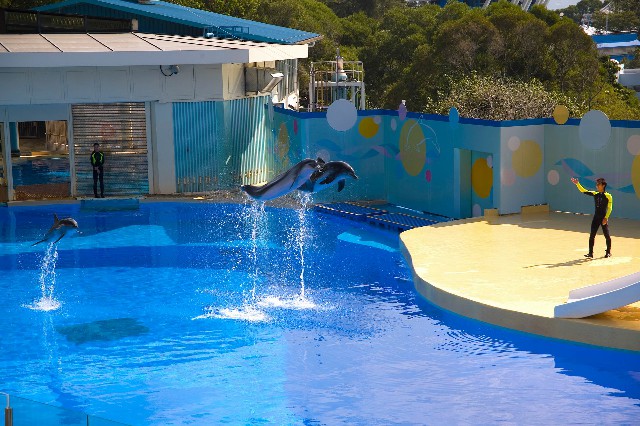 白条借呗套现_帮人套花呗赚钱