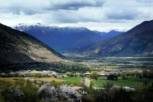 套小额花呗_抖音月付的钱怎么取现
