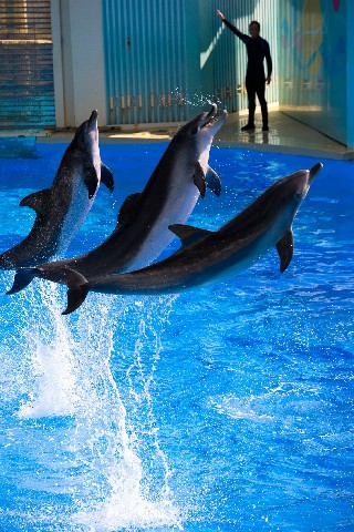 抖音月付商家收费政策_钦州医保取现