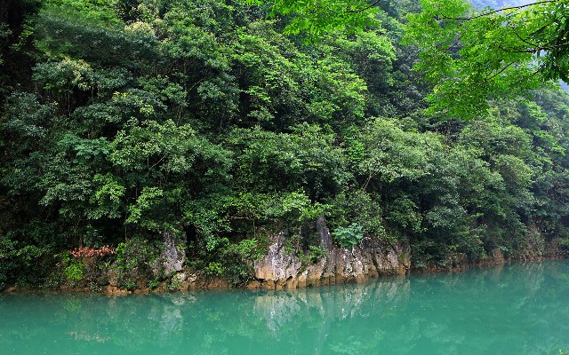 微信花呗类别_花呗怎么套现2000