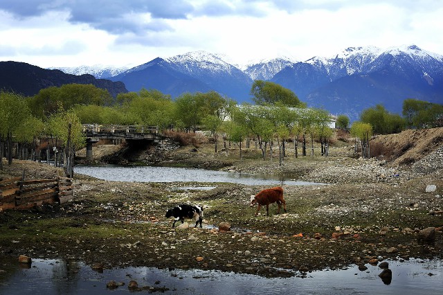 花呗怎么用微信还款_抖音月付怎么套现金