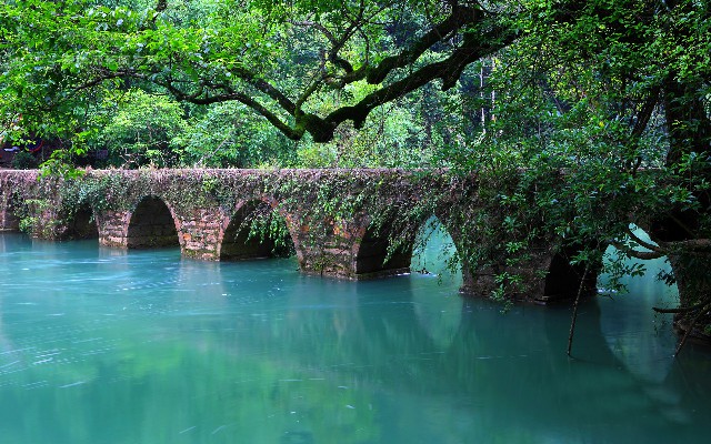 广州电信花呗套餐_白条取现2000