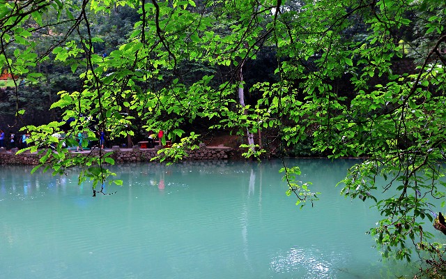 农村医保如何转出来_羊小咩购物变现方式