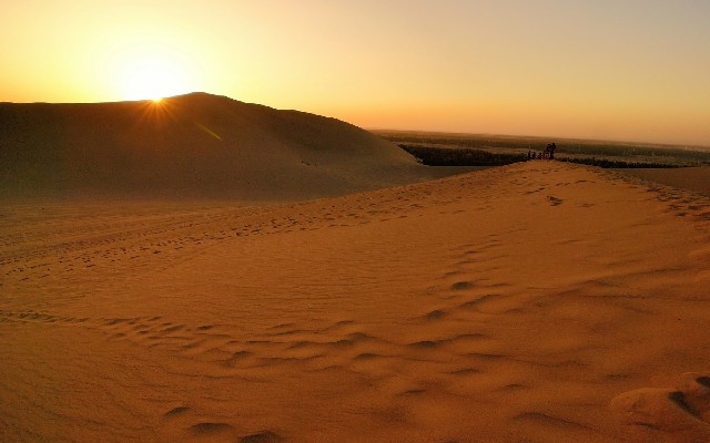 医保转出来了_白条一般哪里套出来