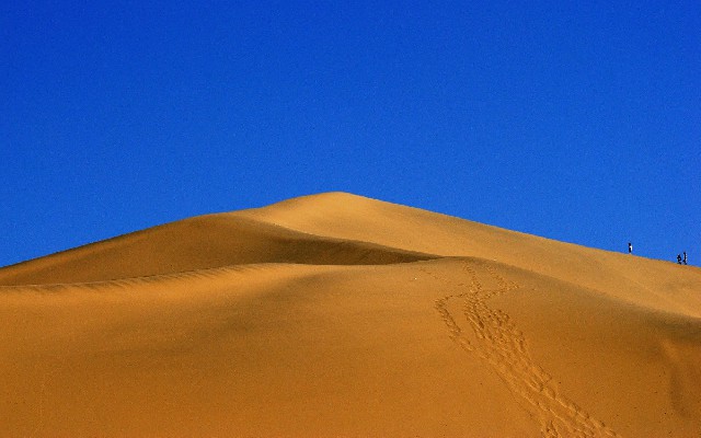 花呗借呗可以提现金吗_羊小咩信用钱包提现