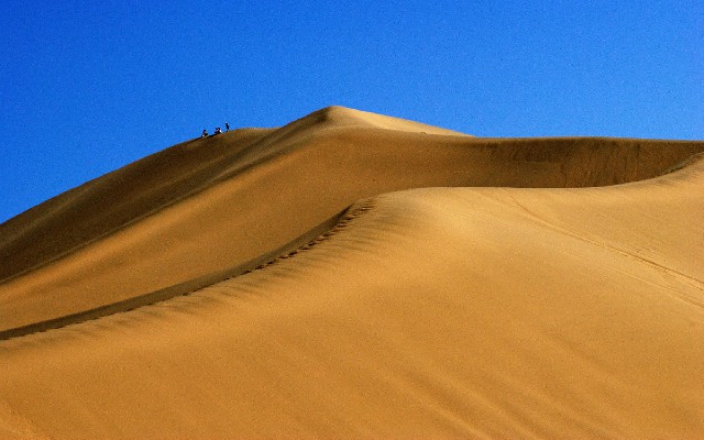 买单吧套花呗_花呗能按商家查询消费吗