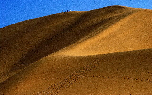抖音月付支持的商家合集_花呗支持哪些商家