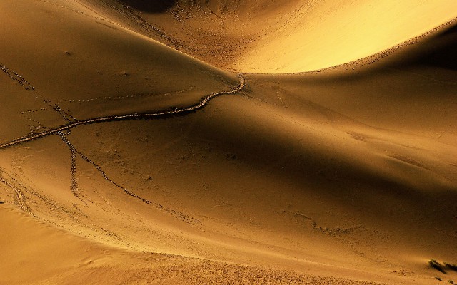 抖音月付怎么提出来额度_羊小咩金条怎么快速买出