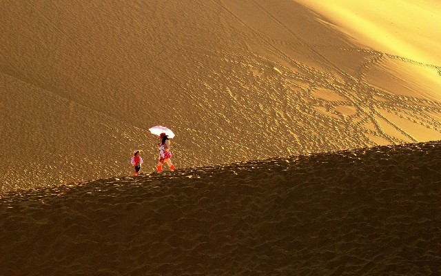 京东商家白条免息在哪开_白条取现年化利率