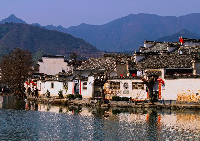 白条店铺取现怎么取_套路还花呗