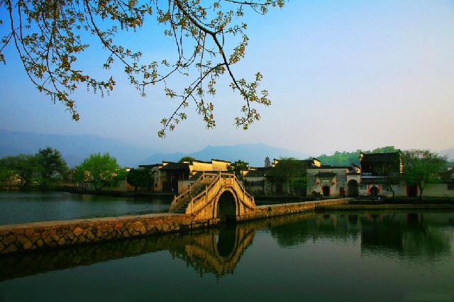 京东取现白条_羊小咩怎么套现最方便