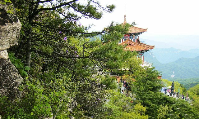 白条提现是什么意思呀_套花呗超级码