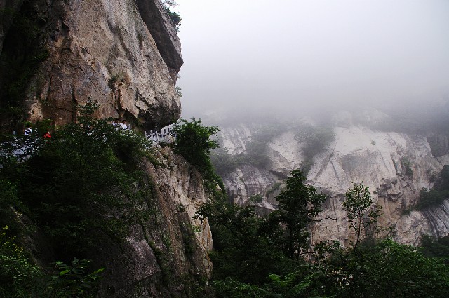 蚂蚁花呗解除银行卡号_套蚂蚁花呗机器