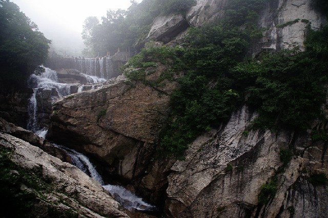 抖音月付怎么扫码商家码_羊小咩备用金提现审核