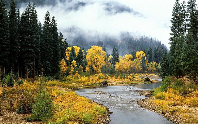 微信借呗花呗无力还款_花呗去实体店套出来