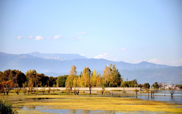 商家花呗收款没收到钱_商家花呗不开通花呗