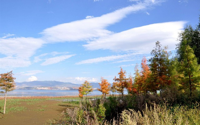 能用花呗分期的银行卡吗_羊小咩黑户能出额度么