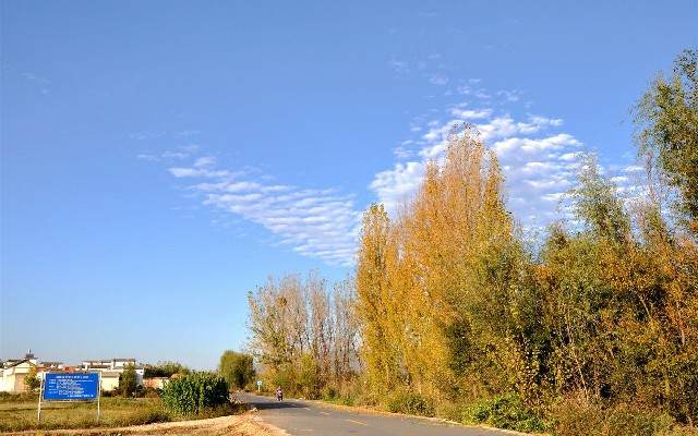 羊小咩套现 论坛_花呗风控套现