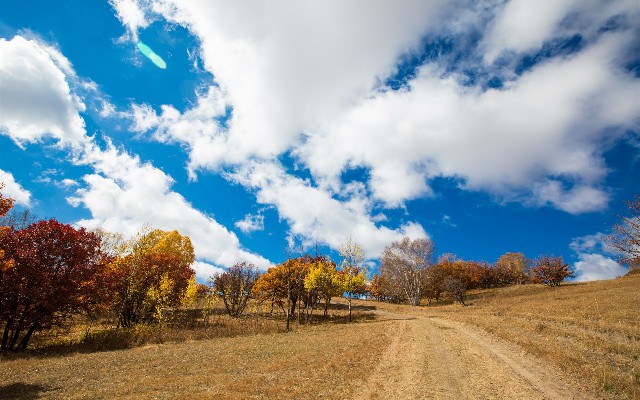 花呗私人诚信套现_羊小咩黑户出额度吗