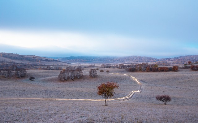 微信小金呗咚咚花_商家花呗收