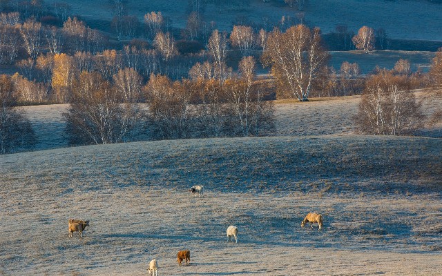 怎么开通商家白条收款码_套餐花呗支付开通