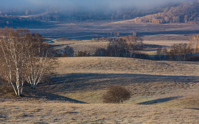 义务白条提现_套花呗办法