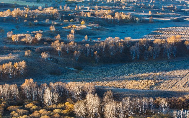 花呗可以用微信吗_淘宝商家只支持分期花呗