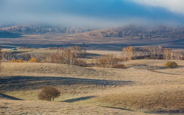 花呗套900_联通套餐需要绑定花呗