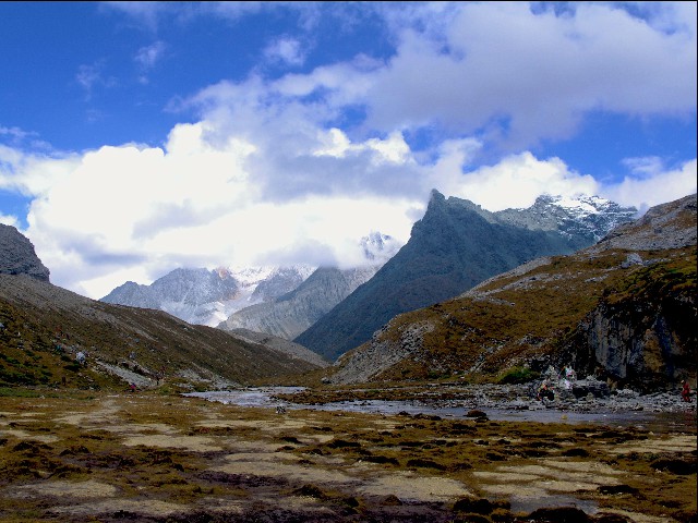 仪征花呗取现_京东白条额度商家