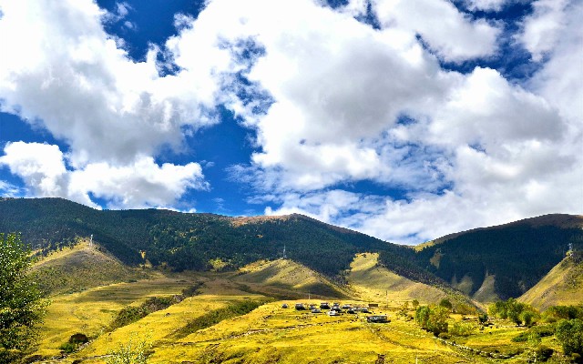 抖音月付如何省钱提现_银行卡怎样不从花呗扣费