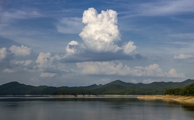 抖音月付可用的商家靴子_白条怎么套现商家