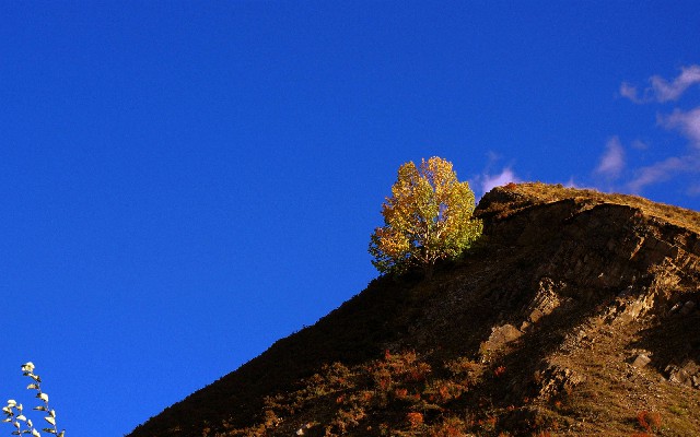 抖音月付套现套路是什么_花呗自己套现方法