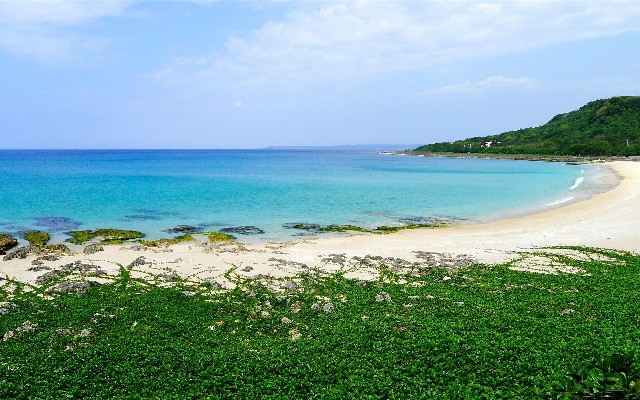 商家开通花呗要求_花呗从银行卡还款好吗