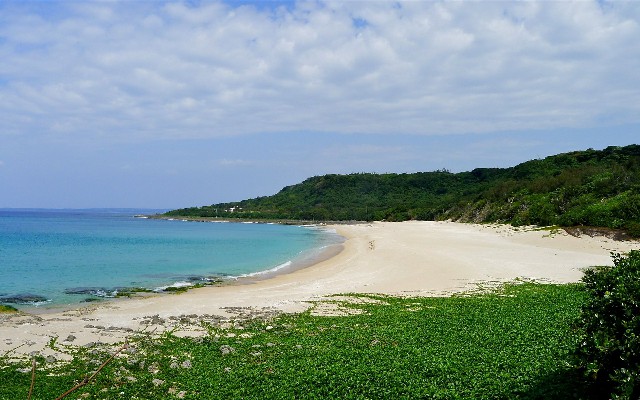 抖音月付怎么变现金了呢_医保微信商家支付助手